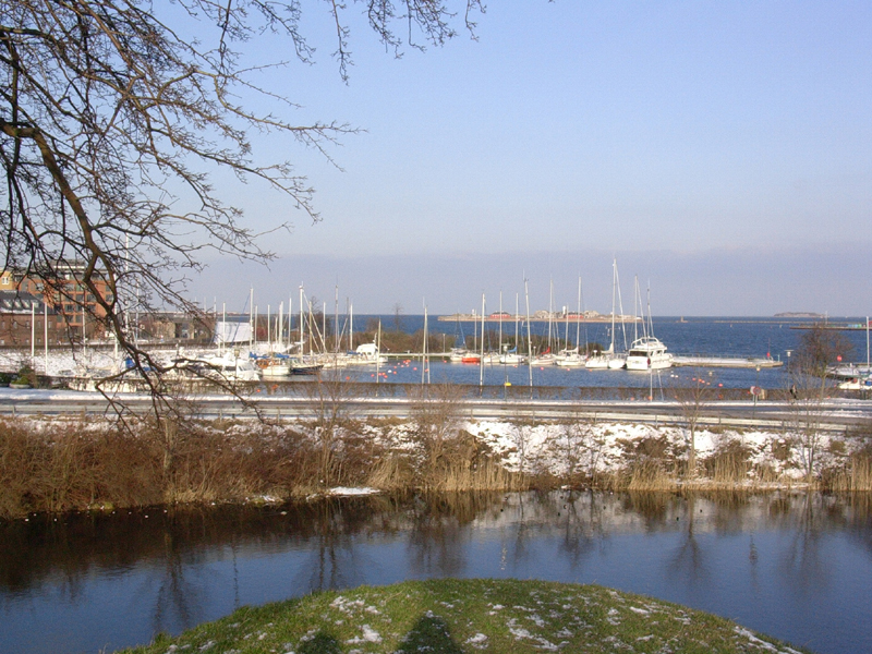 43DSCN3545